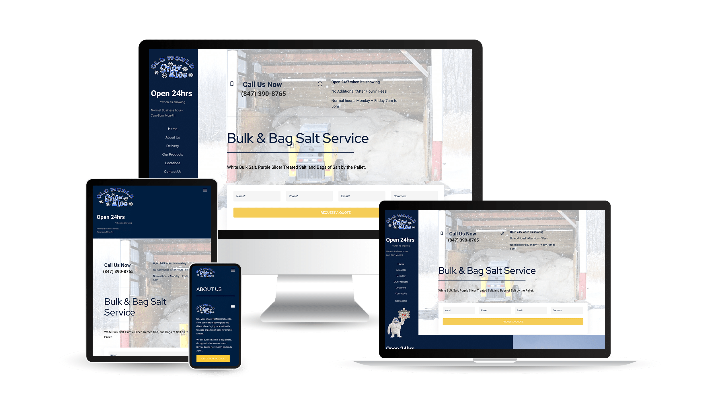 eCommerce 4 Chicago Website Design SEO Company BulkSaltChicago Chicago Website Design SEO Company