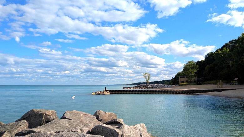 intro 1773397519 Chicago Website Design SEO Company